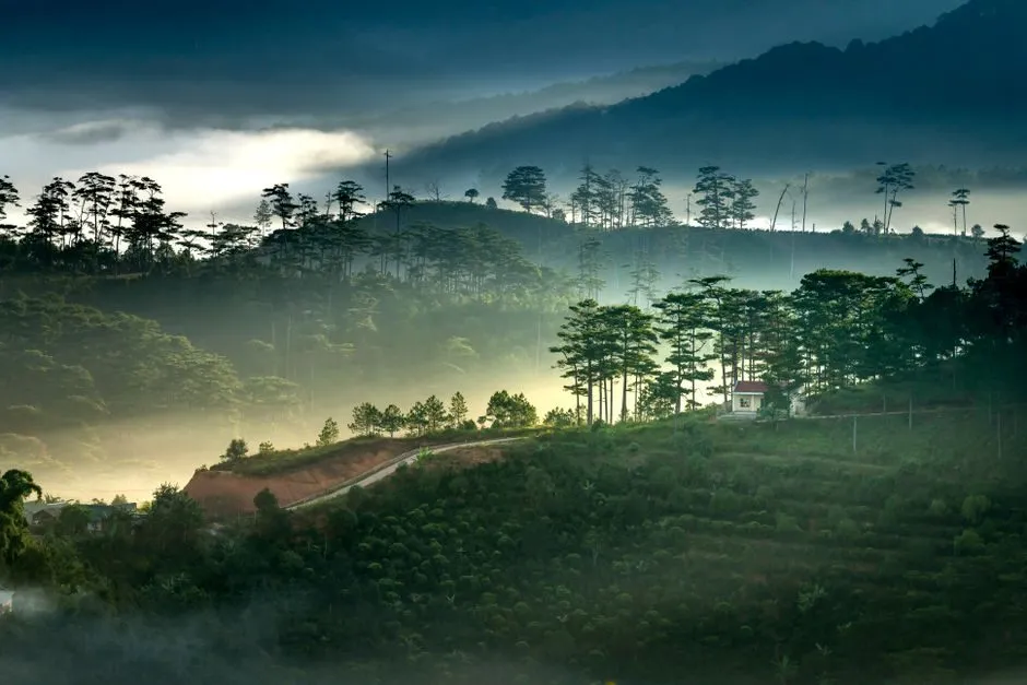 ảnh phong cảnh núi đồi phủ sương sớm