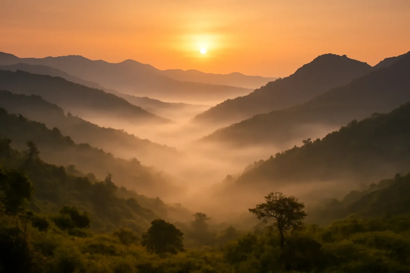 hình ảnh phong cảnh chill sương sớm trên đồi núi